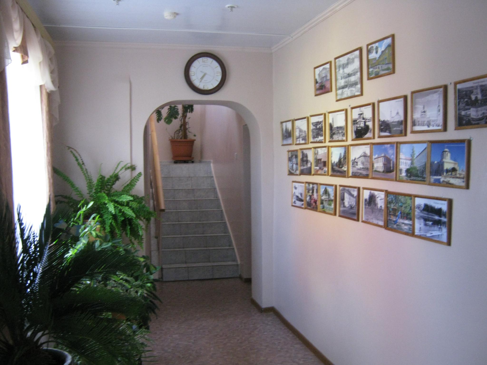 Фото Камелия