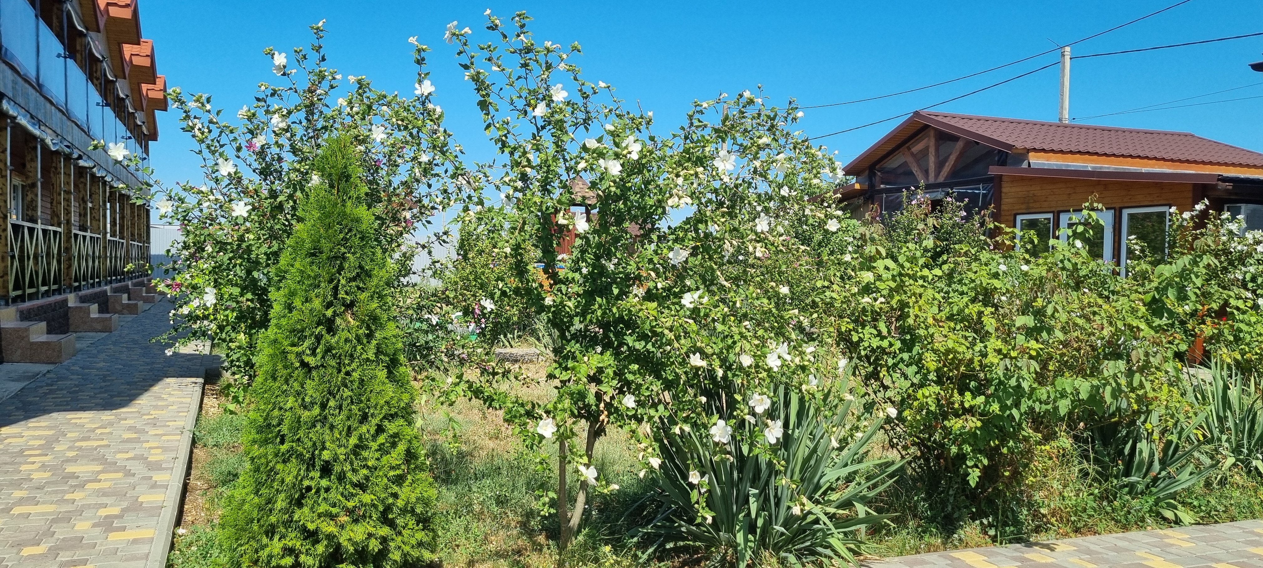 Фото Миланд