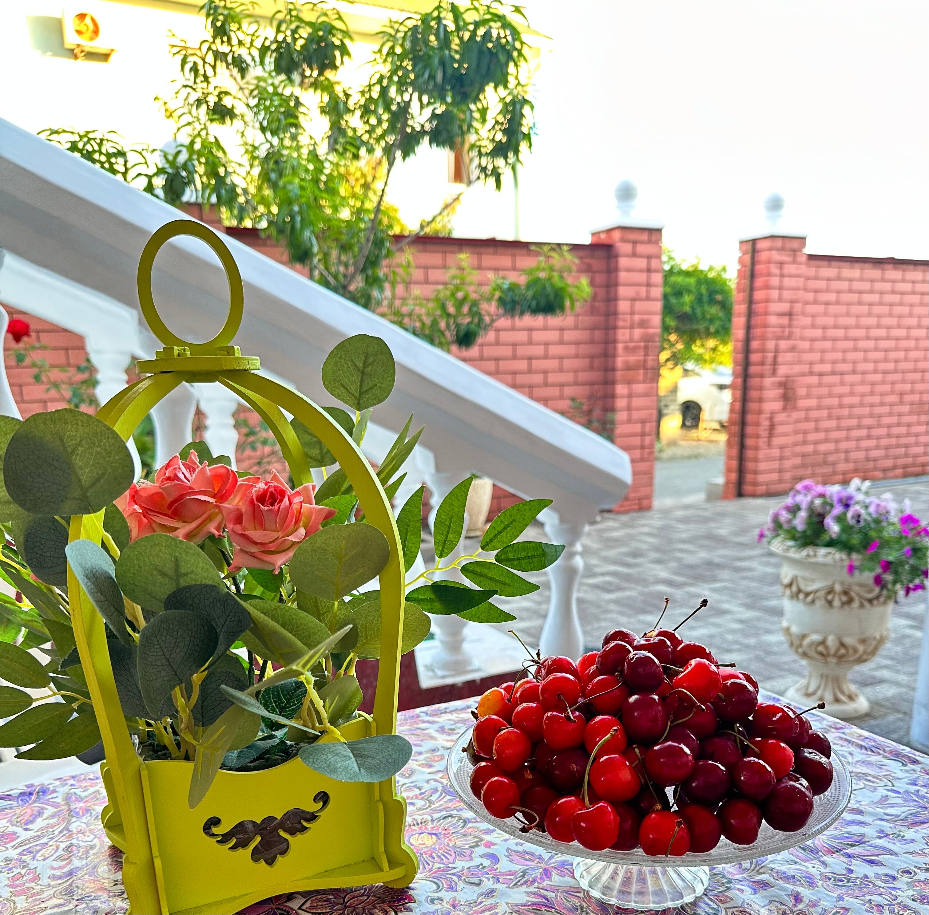 Фото Арарат