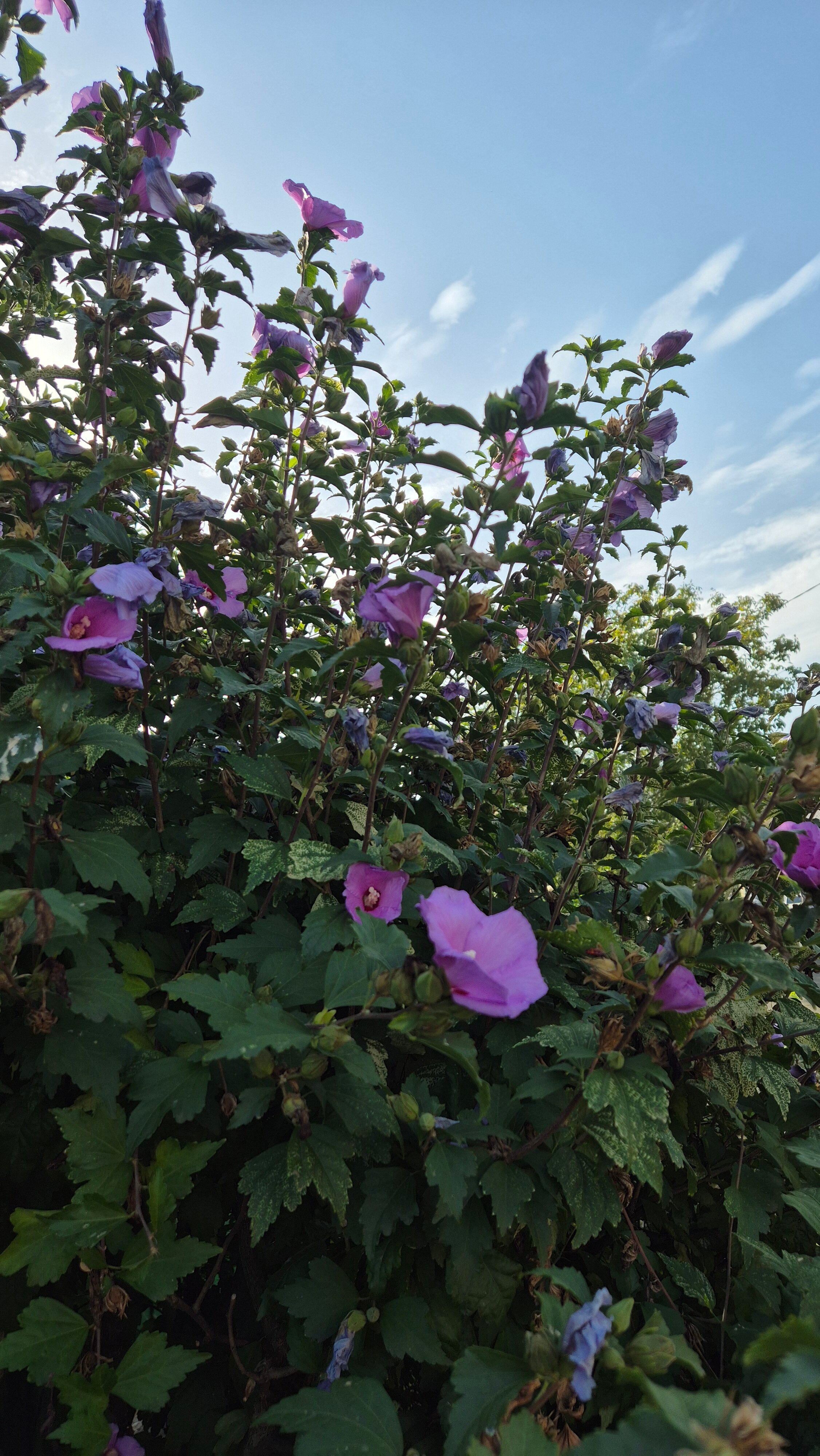 Фото НекрасовЪ