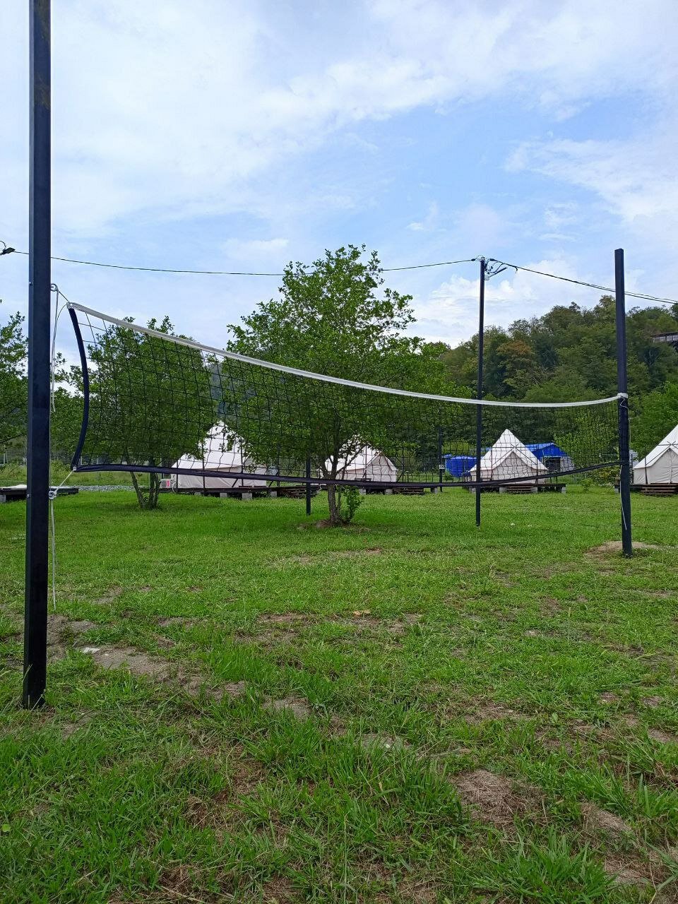 Фото Сад чудес