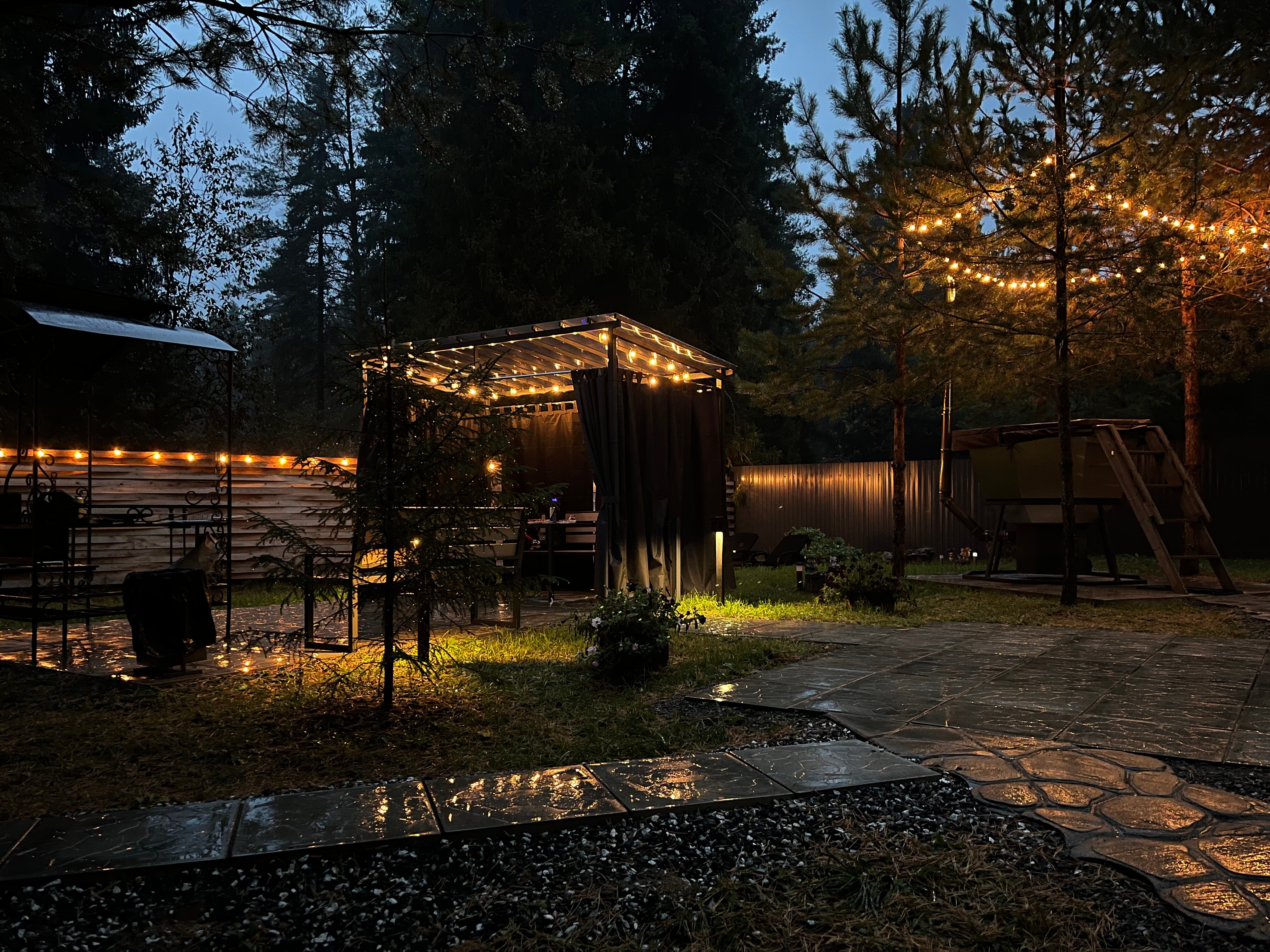 Фото Лесная поляна