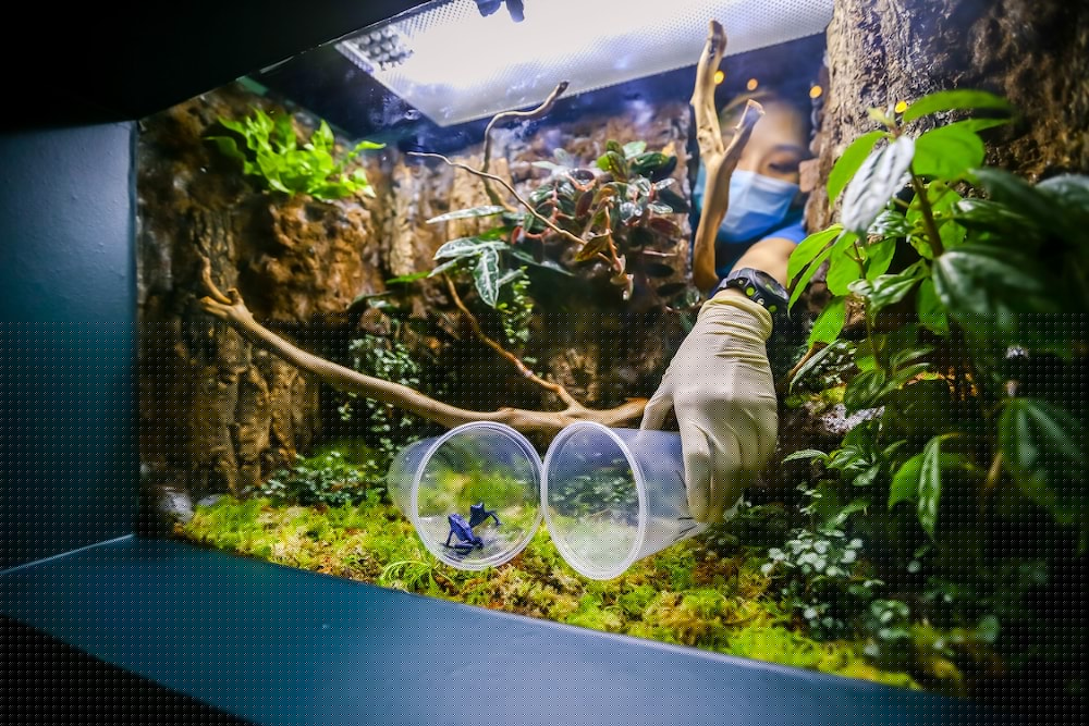 Фото Resorts World Sentosa - Crockfords Tower