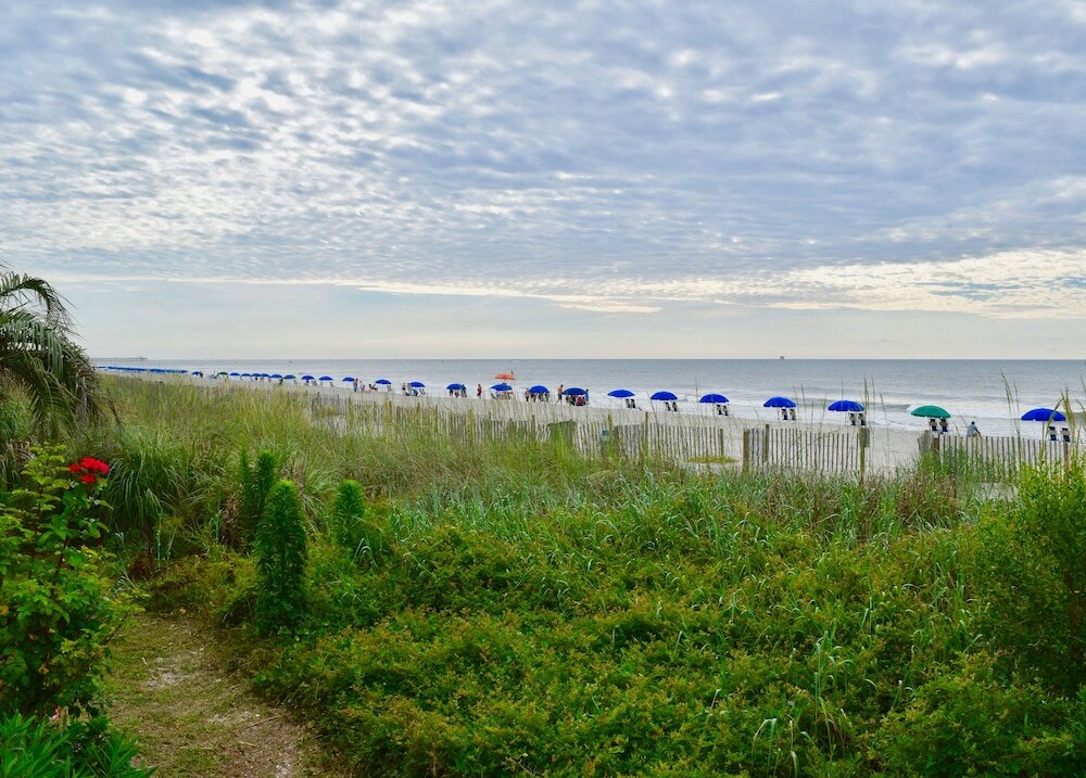 Фото Ocean Forest Colony by Capital Vacations