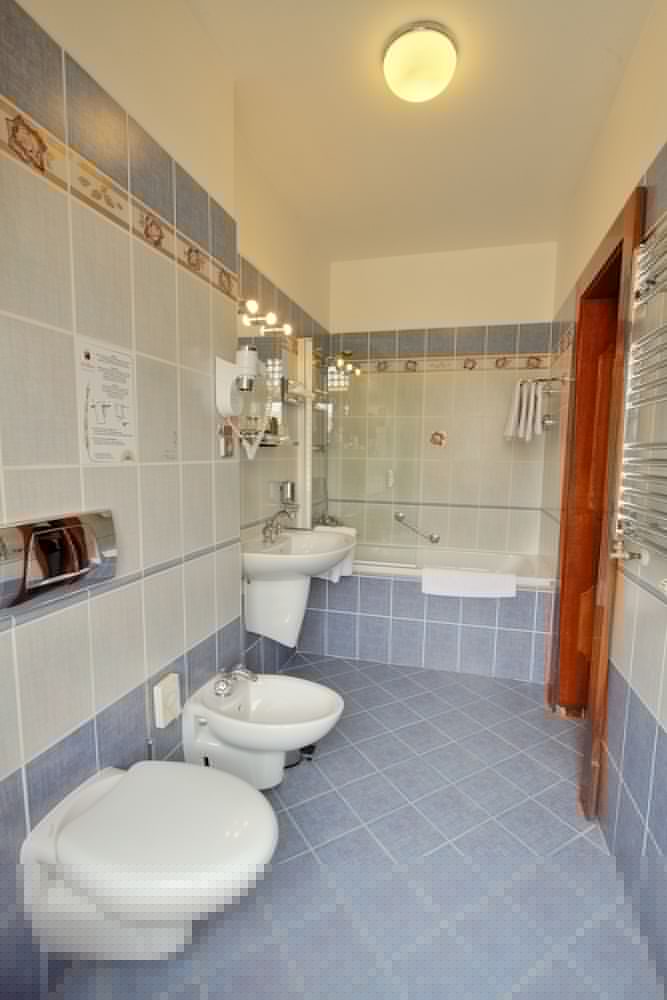 Фото Hotel U Páva