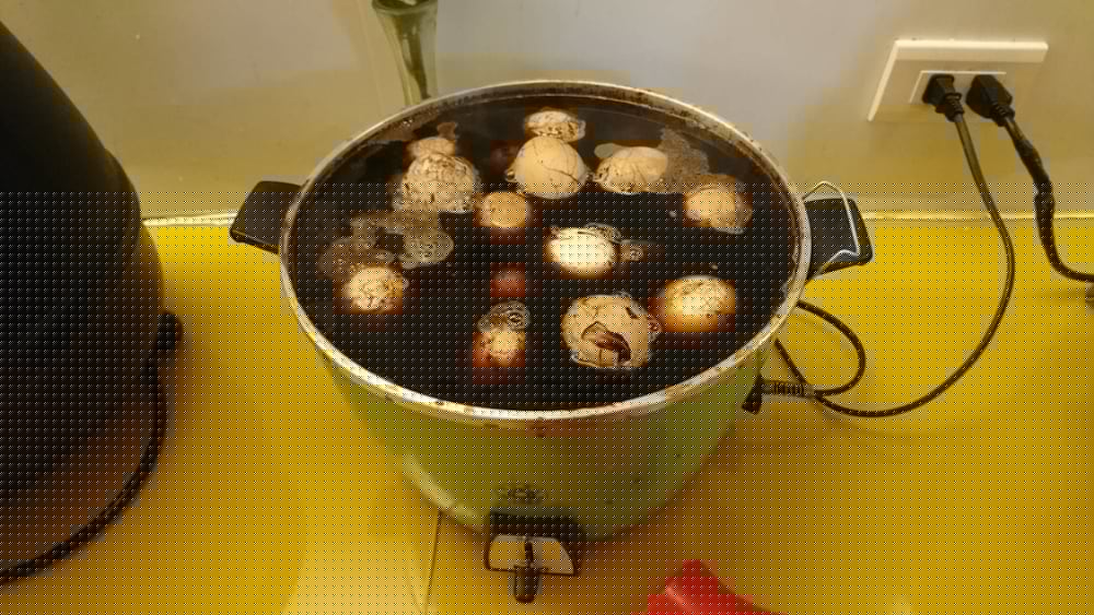 Фото King Plaza Hotel