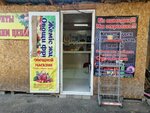 Vegetables and fruits (Samal-2 shaǵyn aýdany, 2А) ، متجر بيع خضر خضروات طازجة