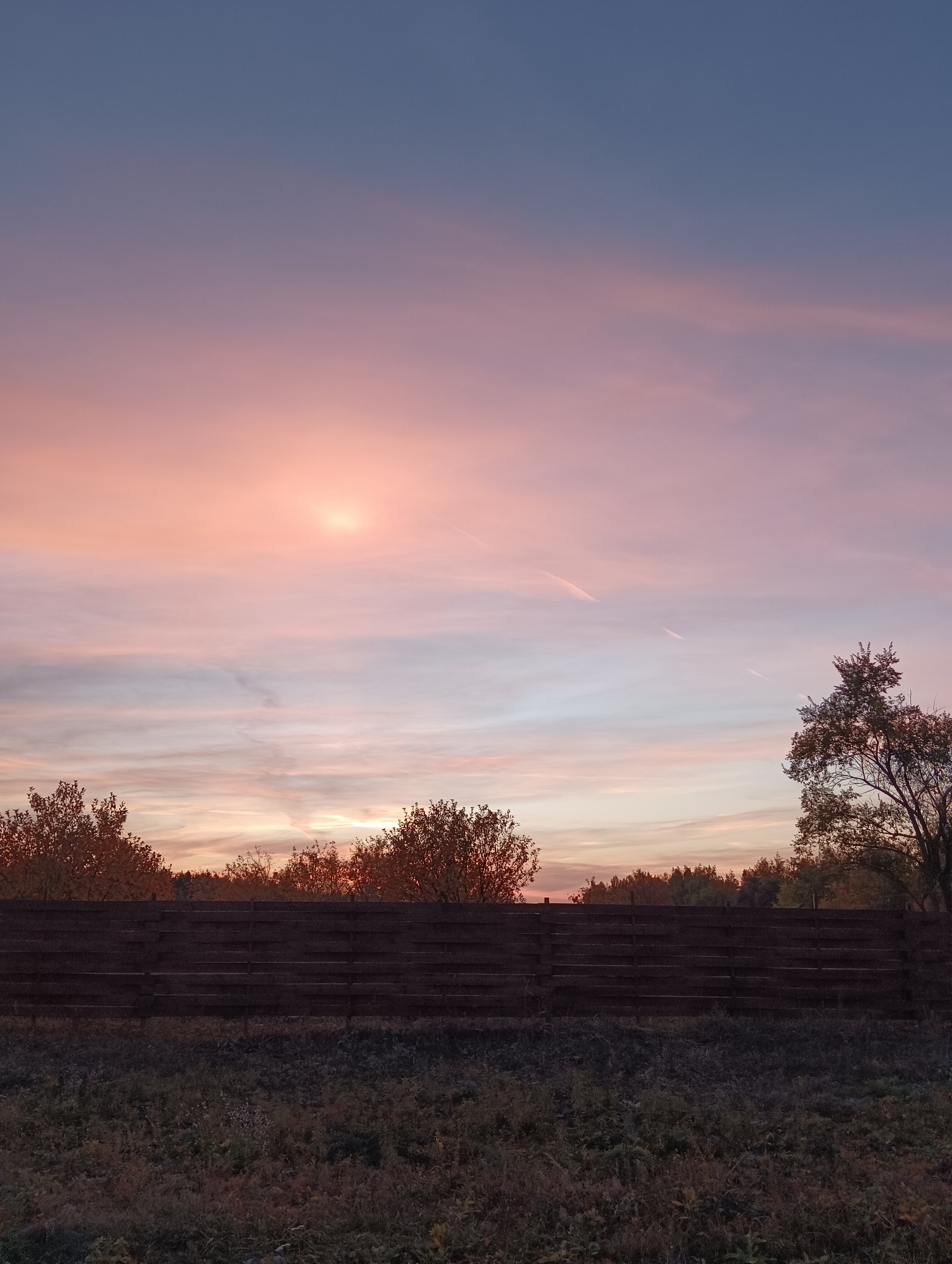 Фото Дубовая роща