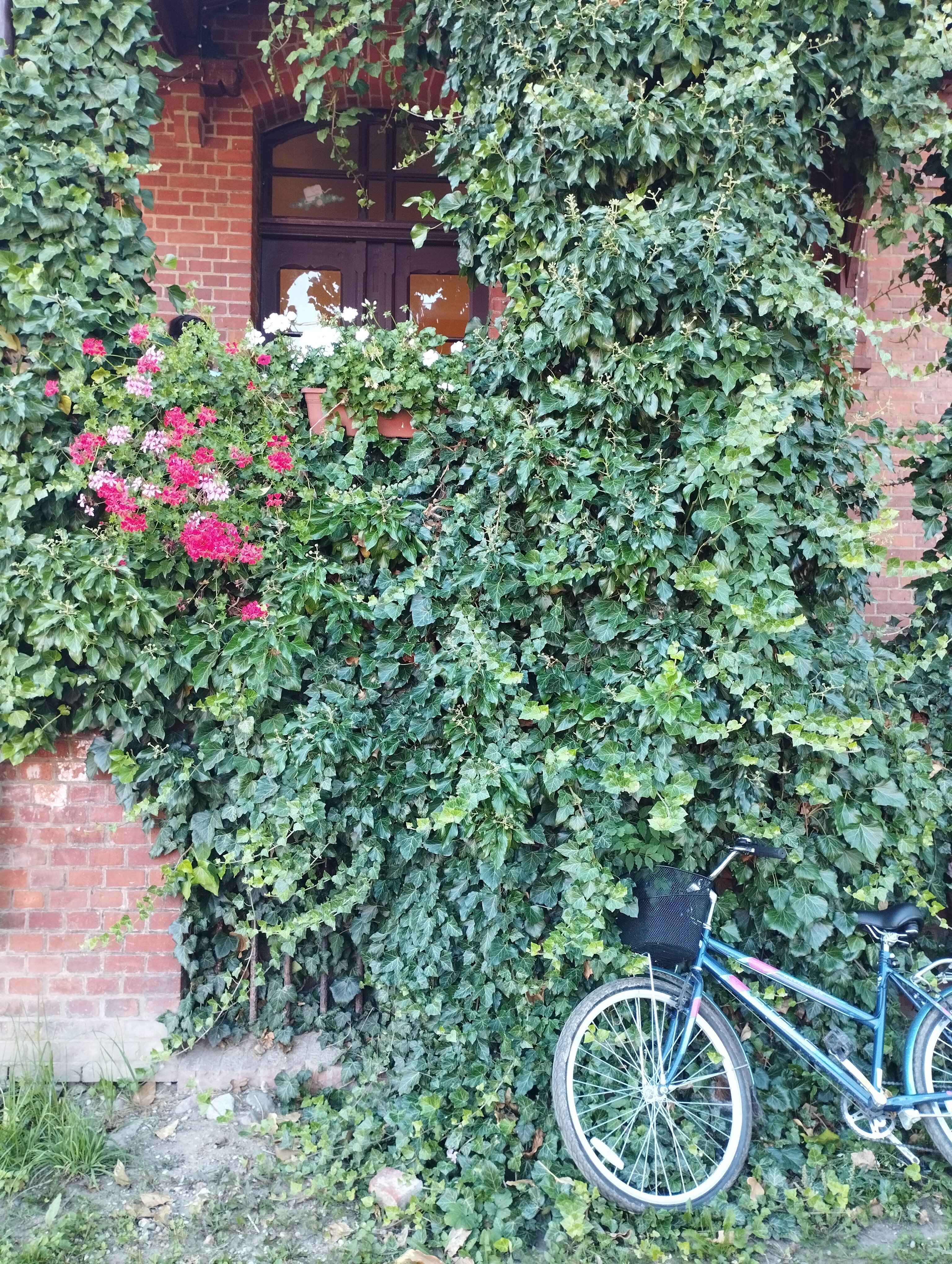 Фото Усадьба Заеца