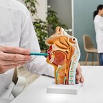 Parkhayat Afyonkarahisar Hospital Physical Therapy and Rehabilitation Center (Afyonkarahisar, Afyonkarahisar Merkez, Turgut Özal Cad., 37) ، مستشفى