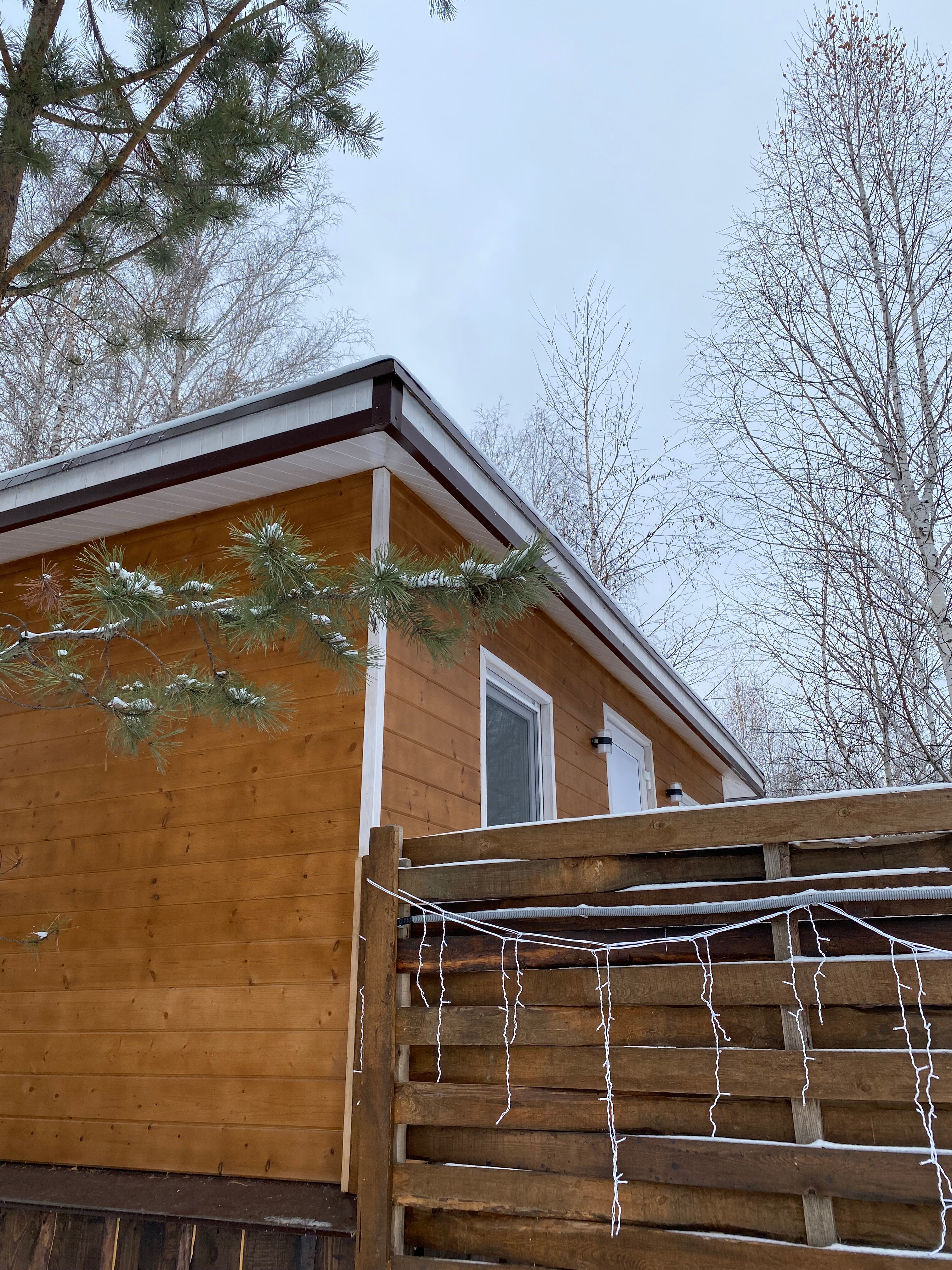 Фото Гнездо семейного счастья