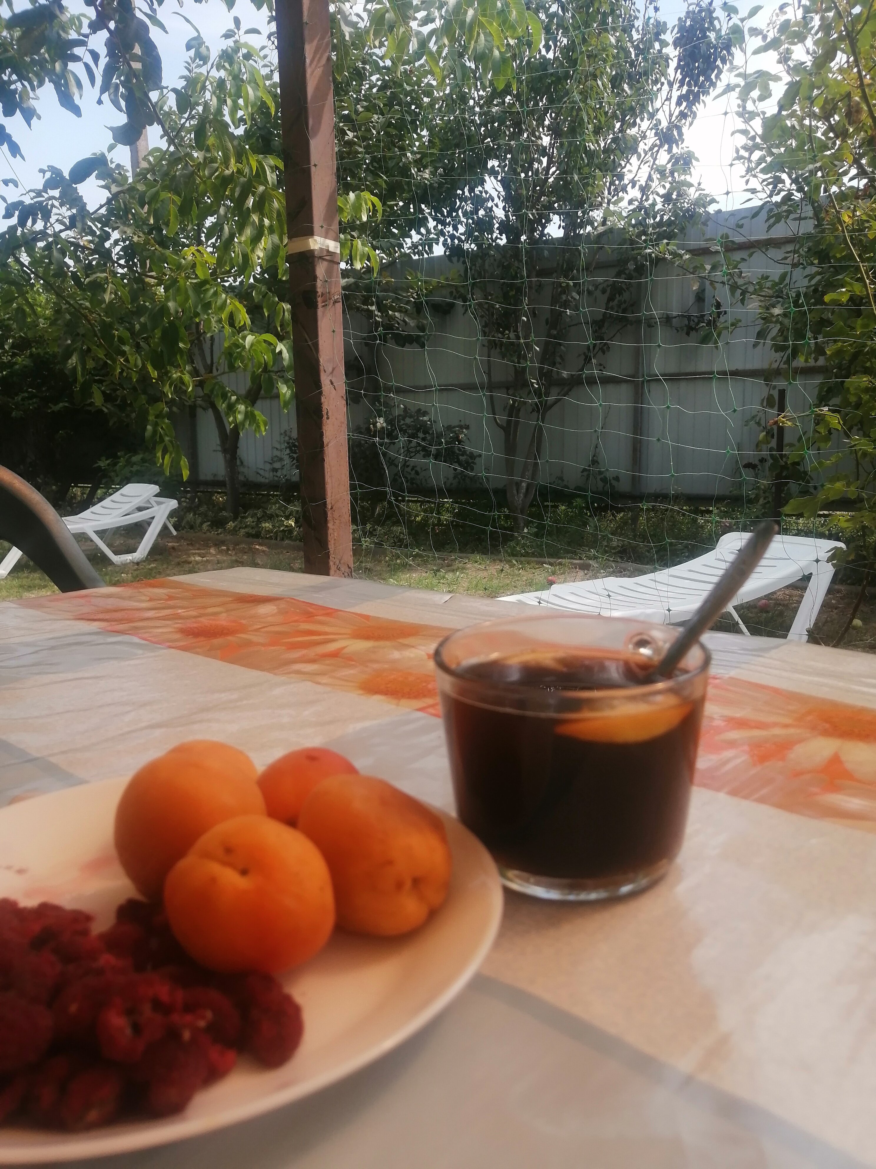 Фото Солнечная поляна