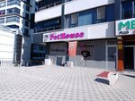 Eryaman PetHouse (Ankara Province, Etimesgut District, Şehit Osman Avcı Mah., Malazgirt 1071. Cad., 30C), veterinary clinic