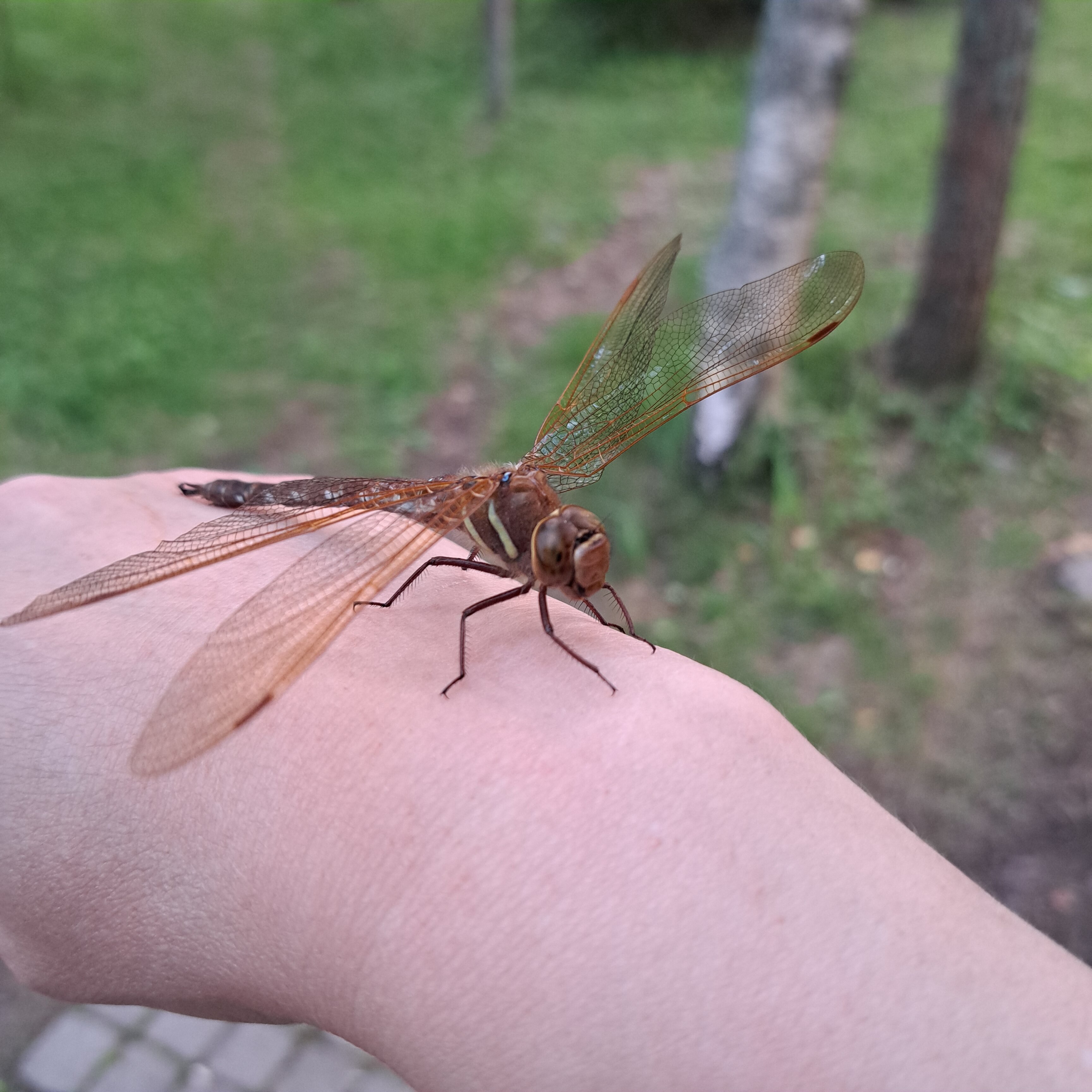 Фото 7 Пятниц