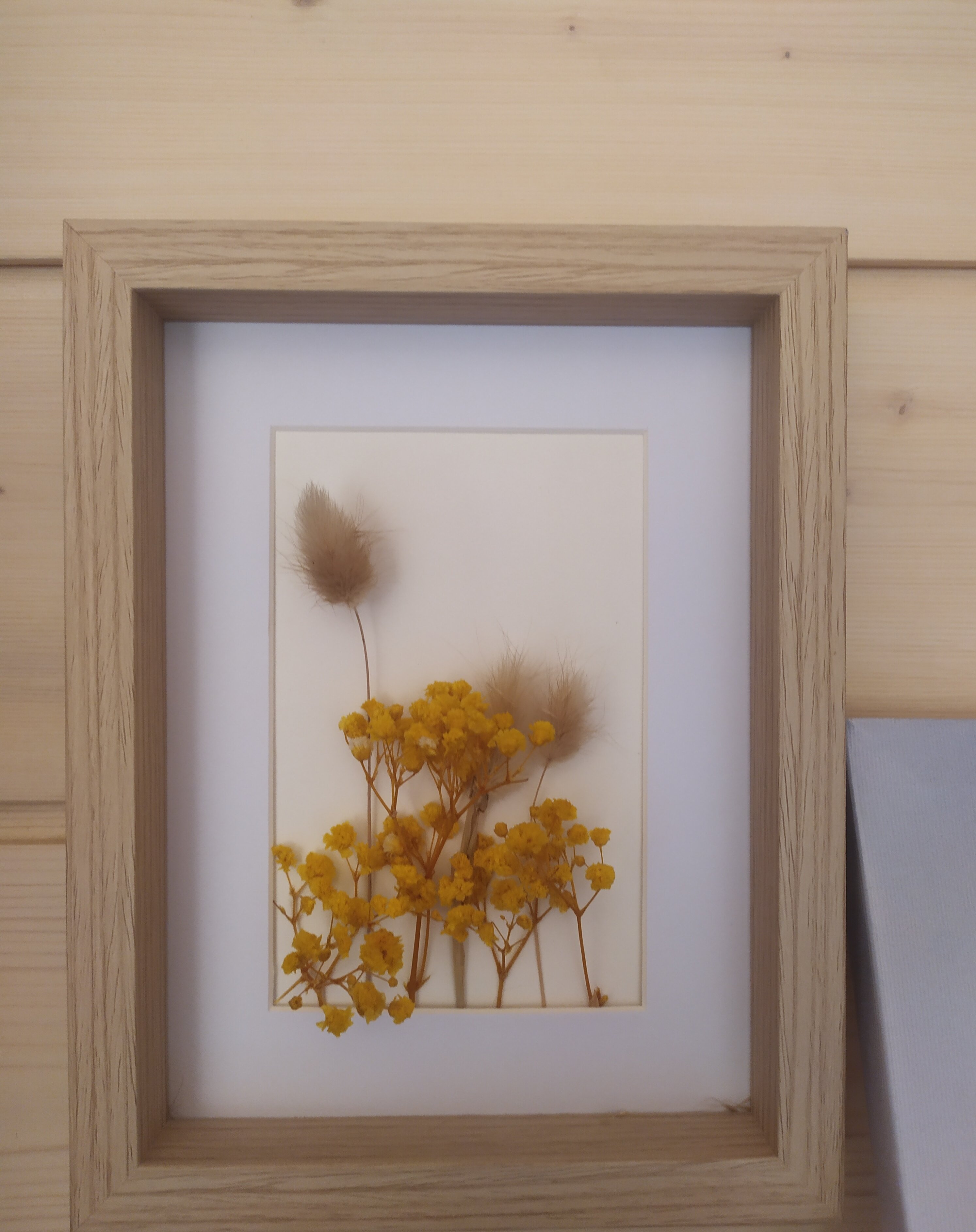 Фото Галки дом