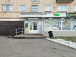 Дружок (Votkinskoye Highway, 58) ، متجر للحيوانات الأليفة