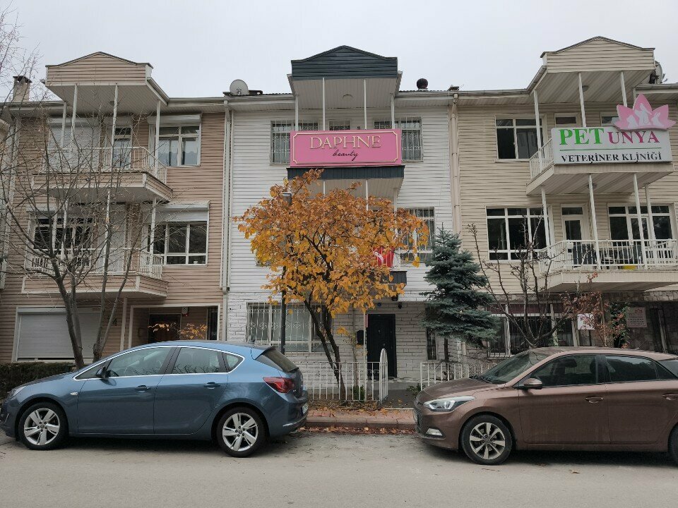 Further education Swallow Academy Consultancy and Education Services, Ankara, photo