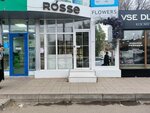 Tina Rosse (Imama Shamilya Avenue, 48В) ، محل زهور