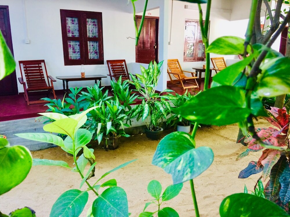 Фото Tropicana homestay