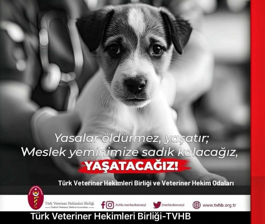 Veterinary clinic Cakir Veterinary Clinic, Kandira, photo