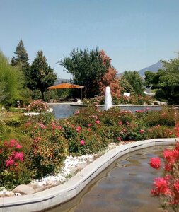 Halikent Neighborhood Park (Isparta, Isparta Merkez, Halıkent Mah., Halıkent Mahallesi Parkı), park