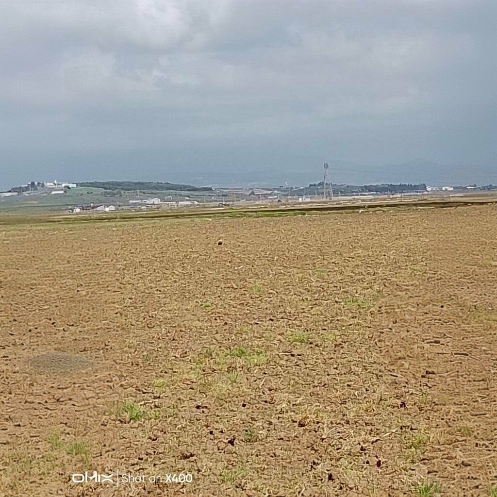 Mosque Cileme Neighborhood Mosque, Izmir, photo