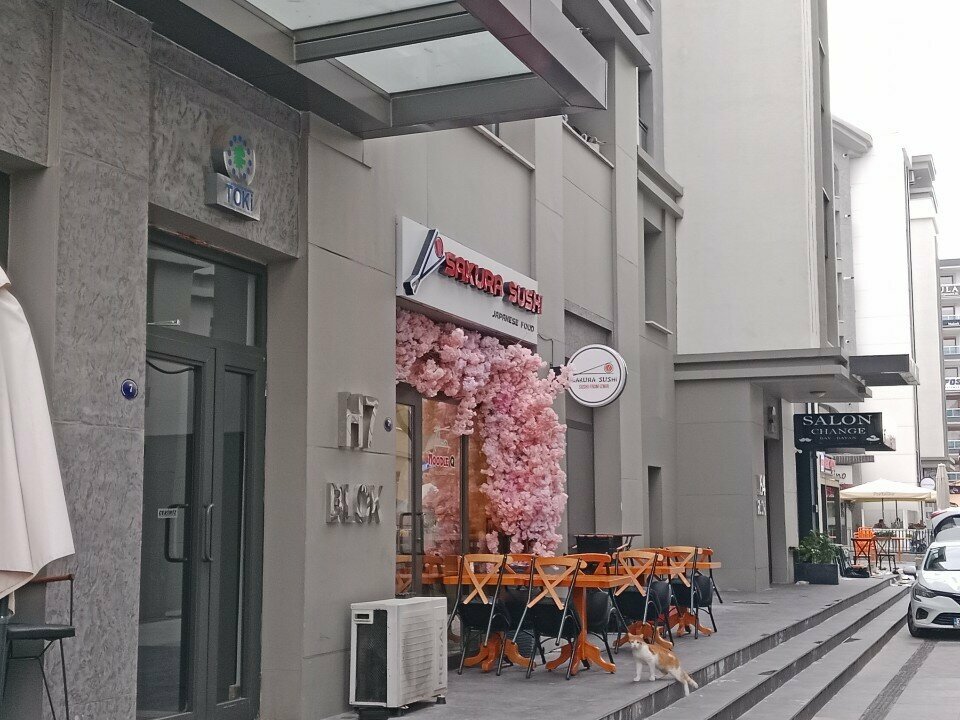 Sushi bar Sakura Sushi Izmir, Izmir, photo