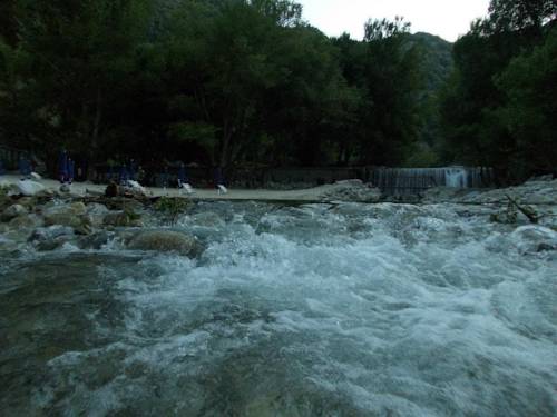 Фото Hotel Mediterraneo