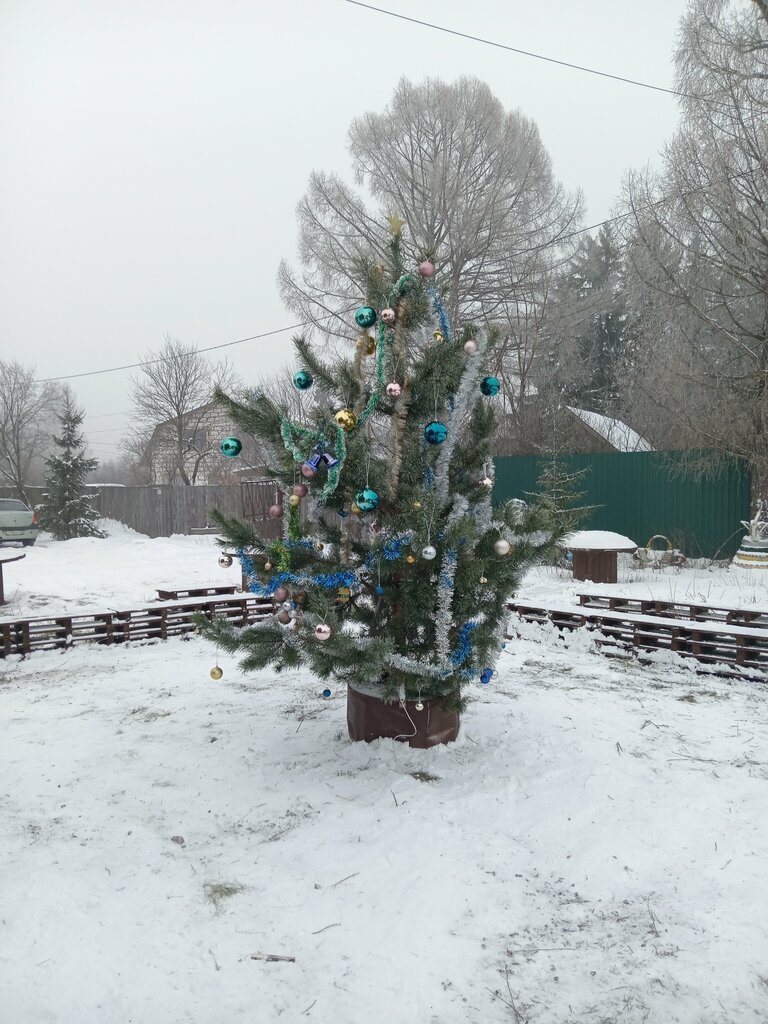 Homeowner association Садовое некоммерческое товарищество Дружба, Penza, photo