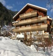Hotel Hotel Steinmattli, Adelboden, photo