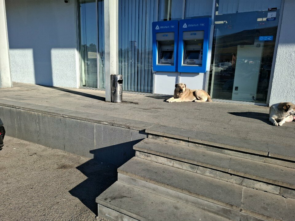 ATM Tbc ATM, Rustavi, photo