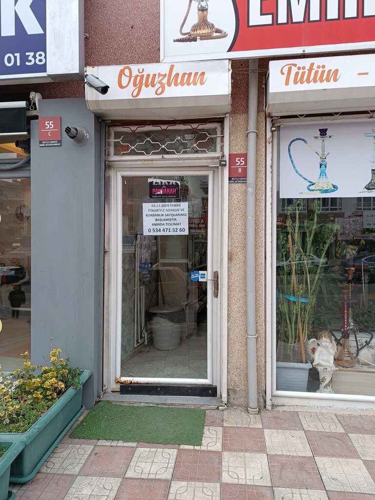 Tobacco and smoking accessories shop Emre Grocery Hookah, Ankara, photo