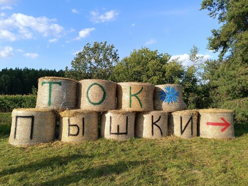 Внешний вид отеля Туристско-оздоровительный комплекс Пышки в Подлабенском сельском Совете, фото 5