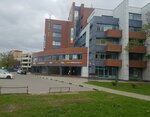 Golitsynsky keramichesky zavod (Molodyozhnaya Street, 46), brick