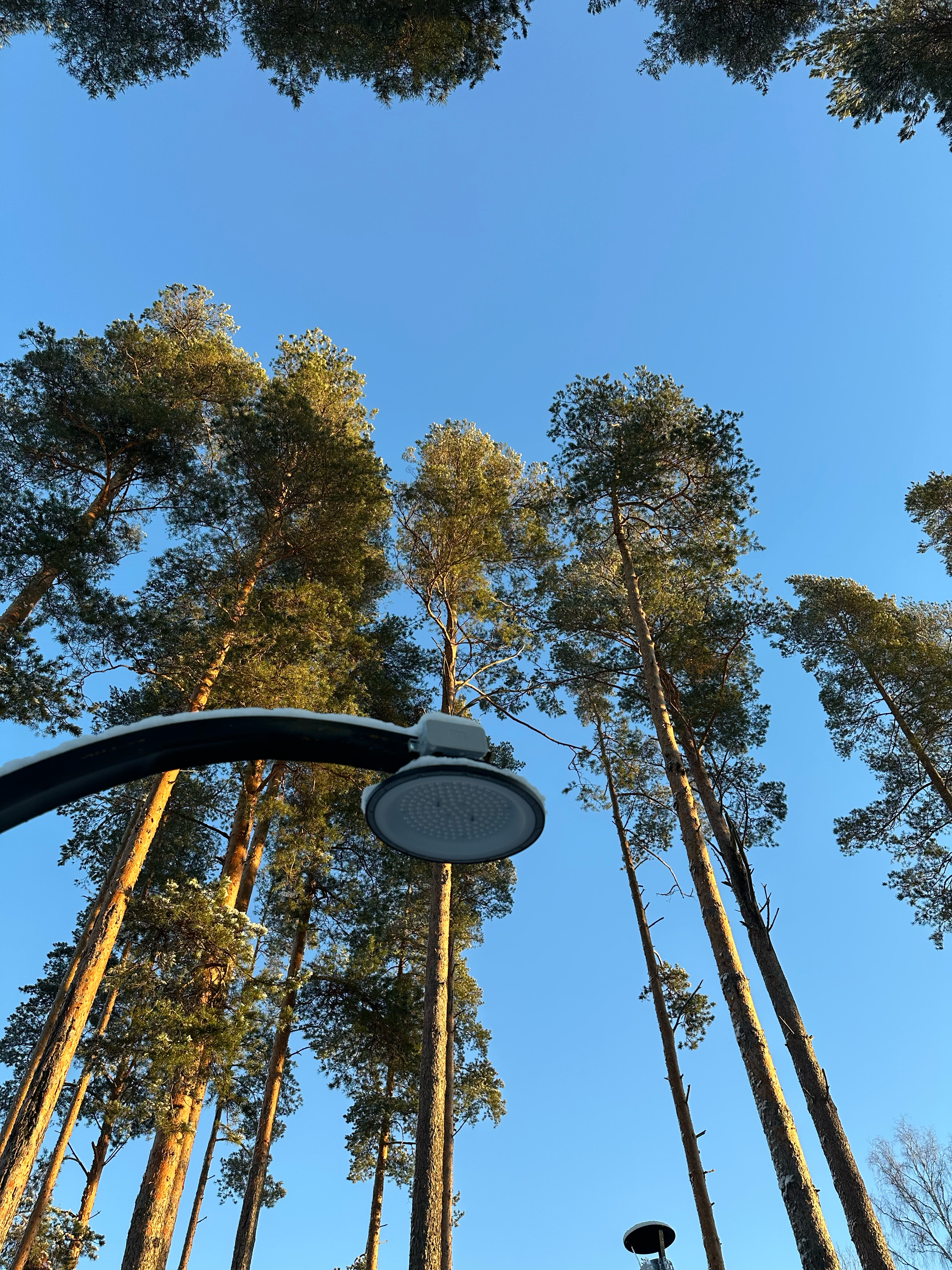 Фото Загородный клуб Сосновый берег