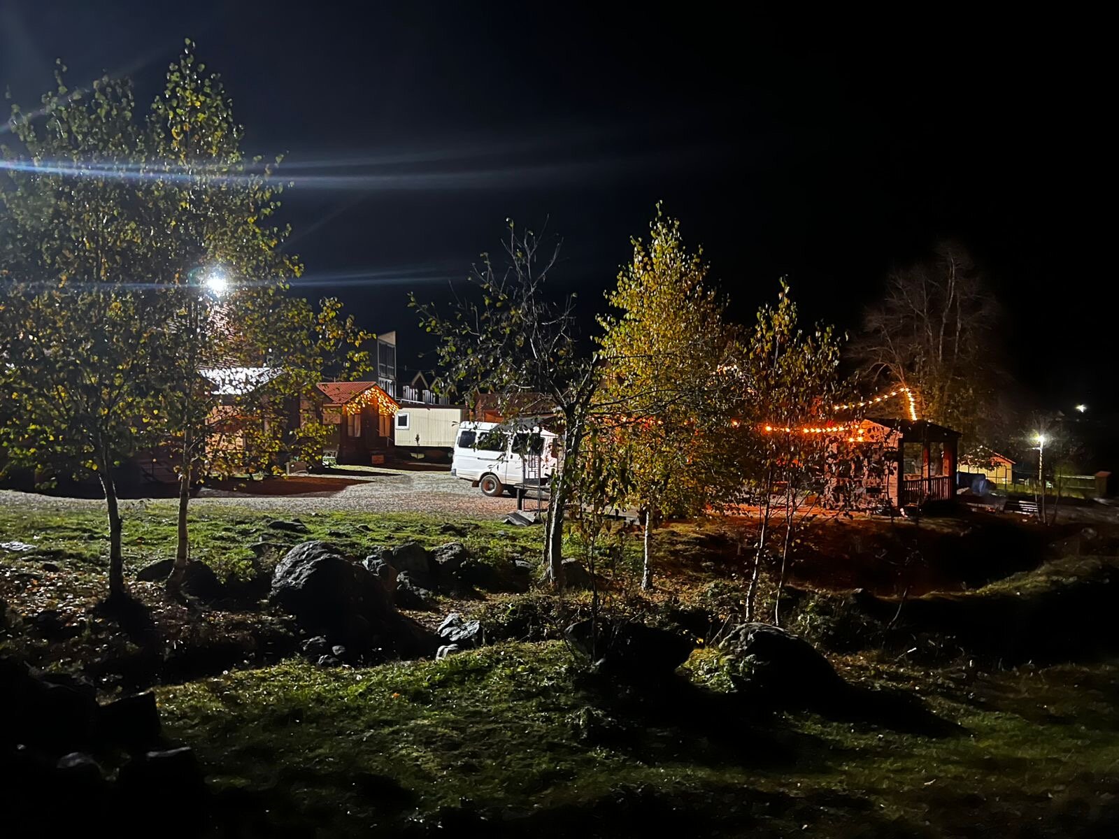 Фото Дикая груша