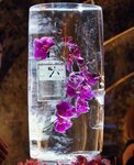 Artisan Ice Co (26, 6 Street, Hadaeq Mohammed Bin Rashid, Dubai), water store