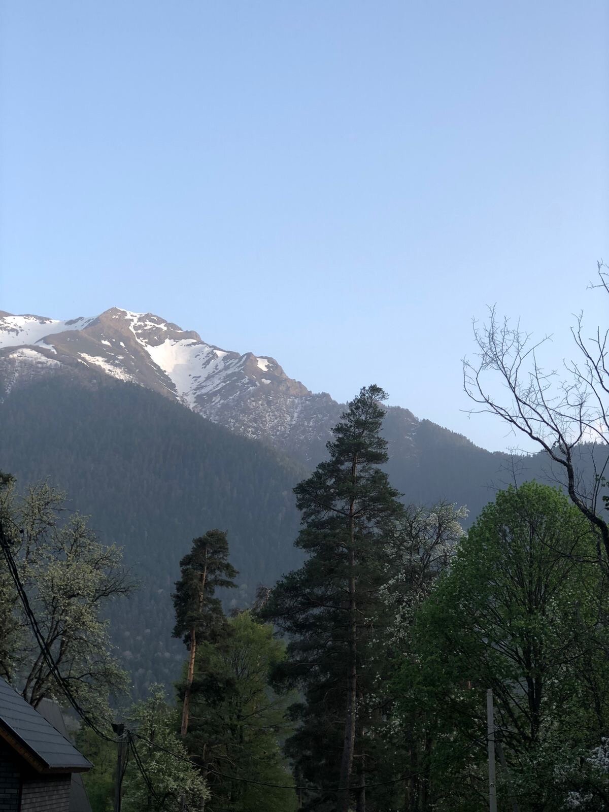 Фото Сосновка