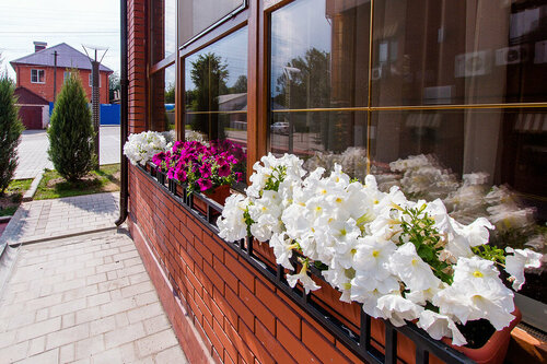 Гостиница Bon Voyage, корпус 2 в Туле