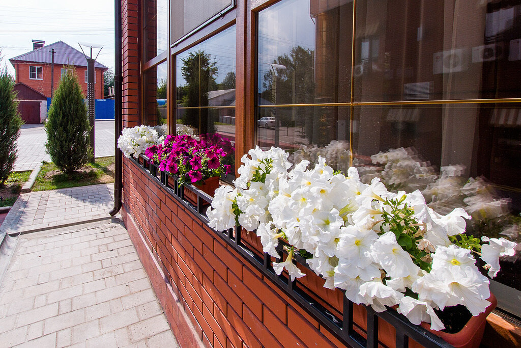 Фото Bon Voyage, корпус 2