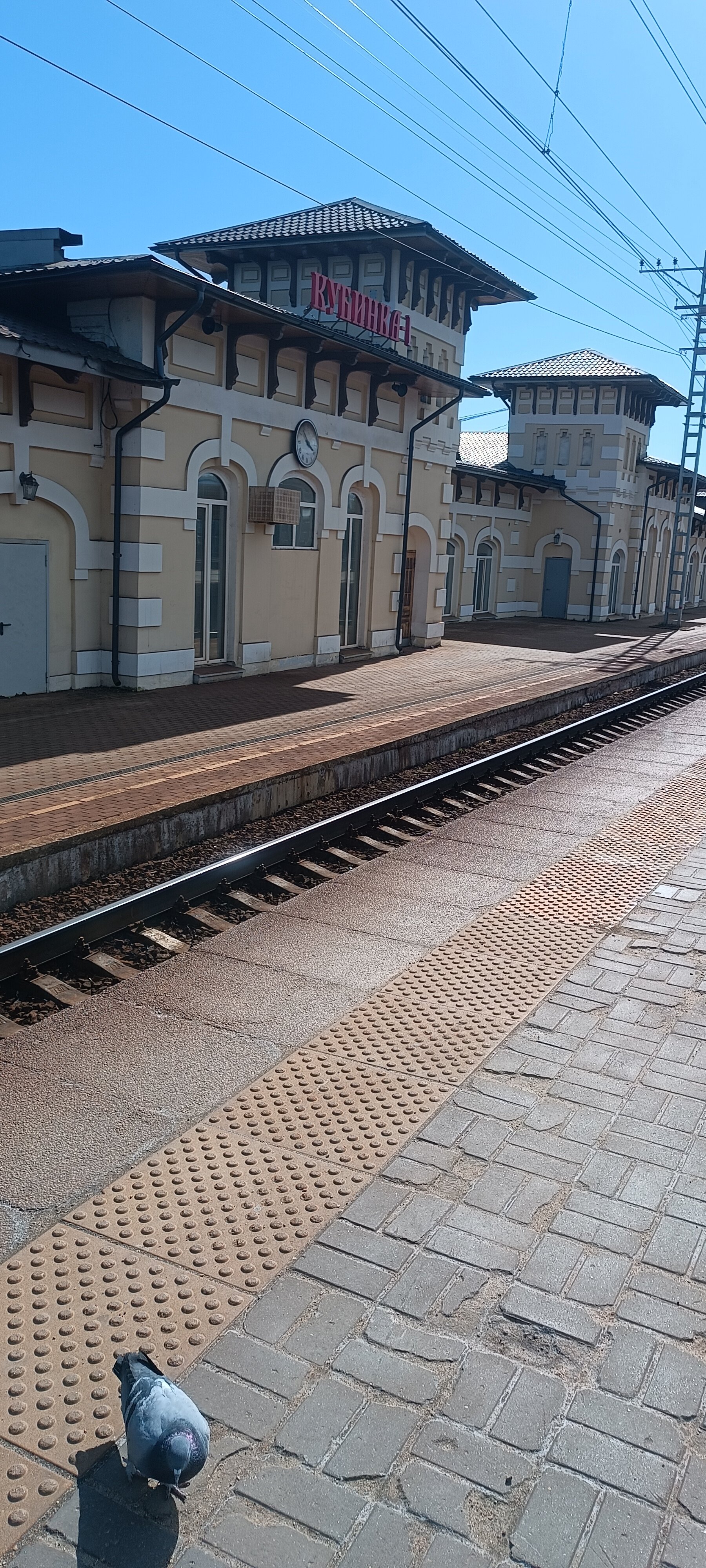 Фото Маршал