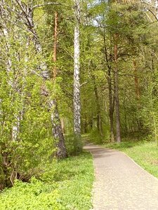 Музейный комплекс Усадьба Языковых (Ульяновская область, Карсунский район, Языковское городское поселение, рабочий посёлок Языково, Языковский парк), парк культуры и отдыха в Ульяновской области