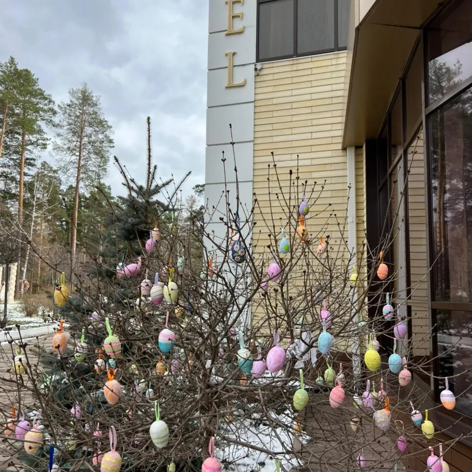 Фото Лесная