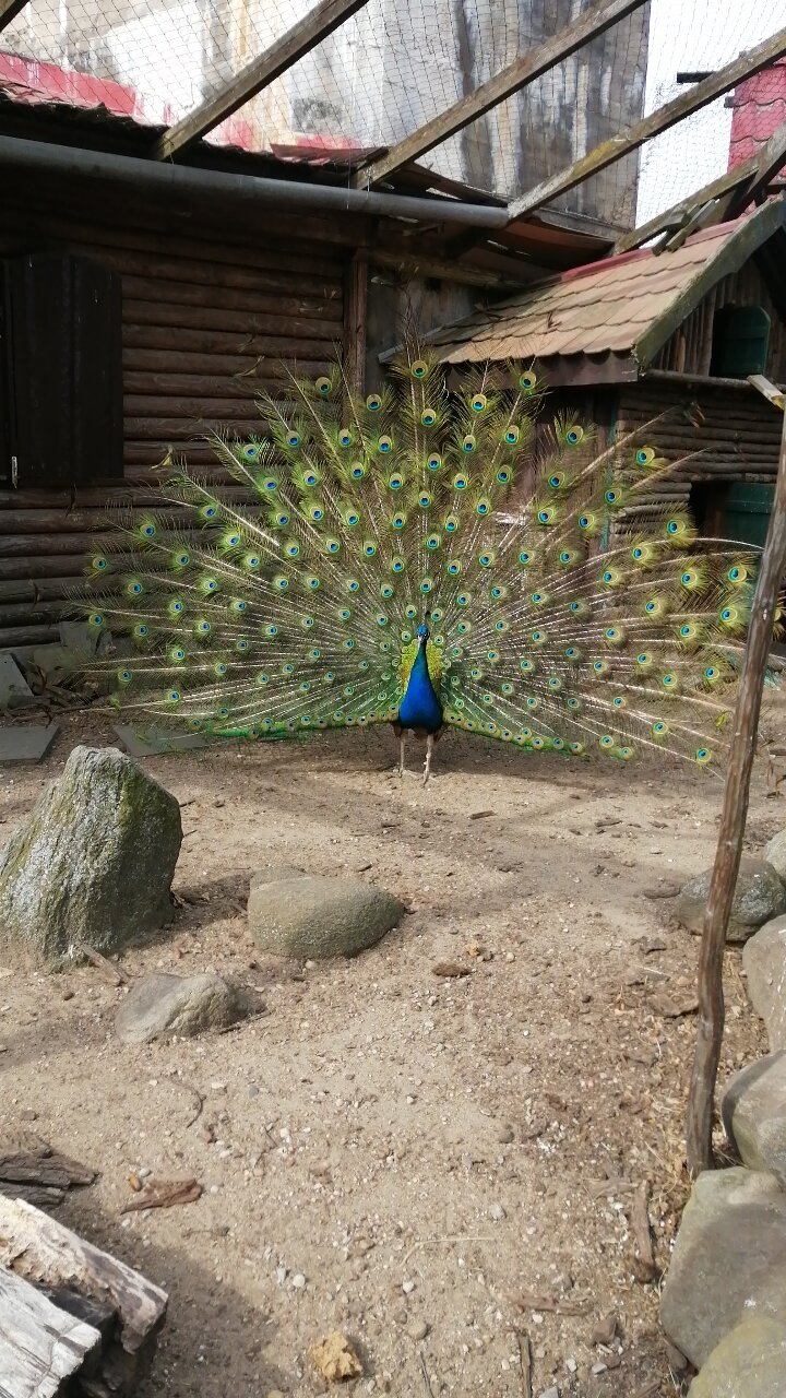 Фото Старый город