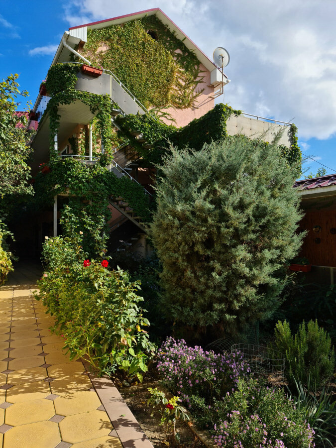 Фото Валента