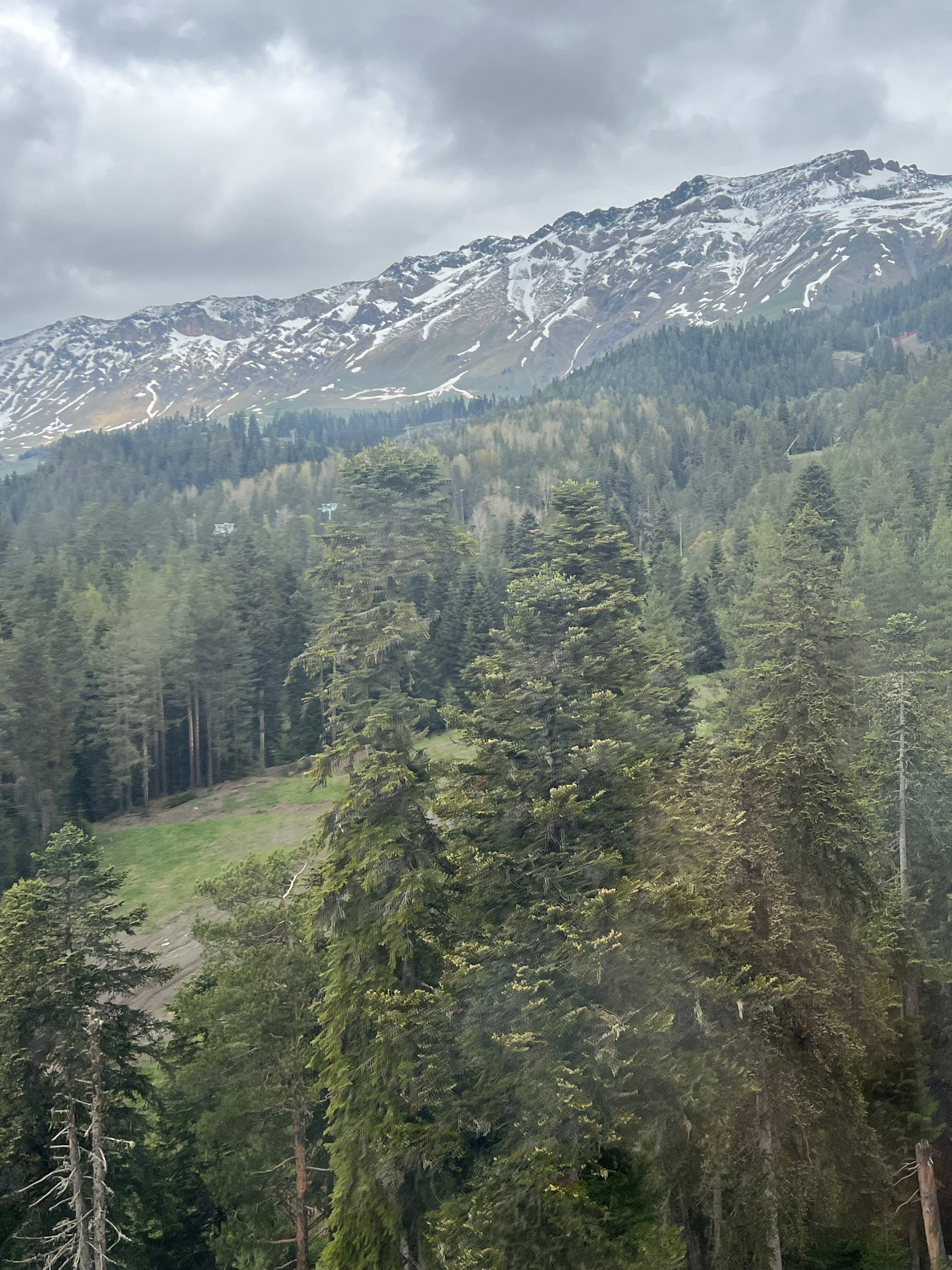 Фото КипариС