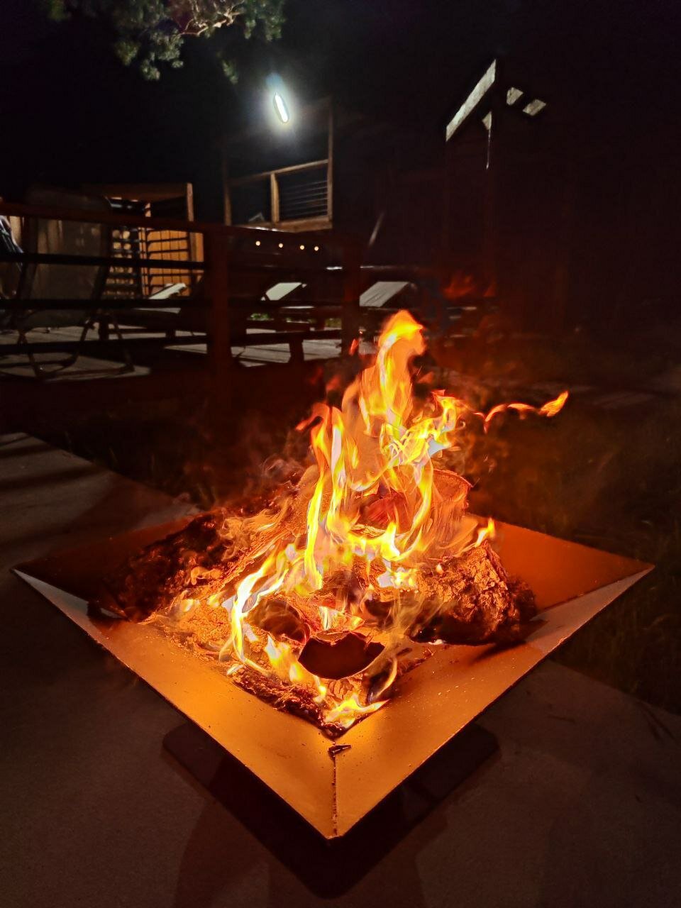 Фото Лес ДО небес