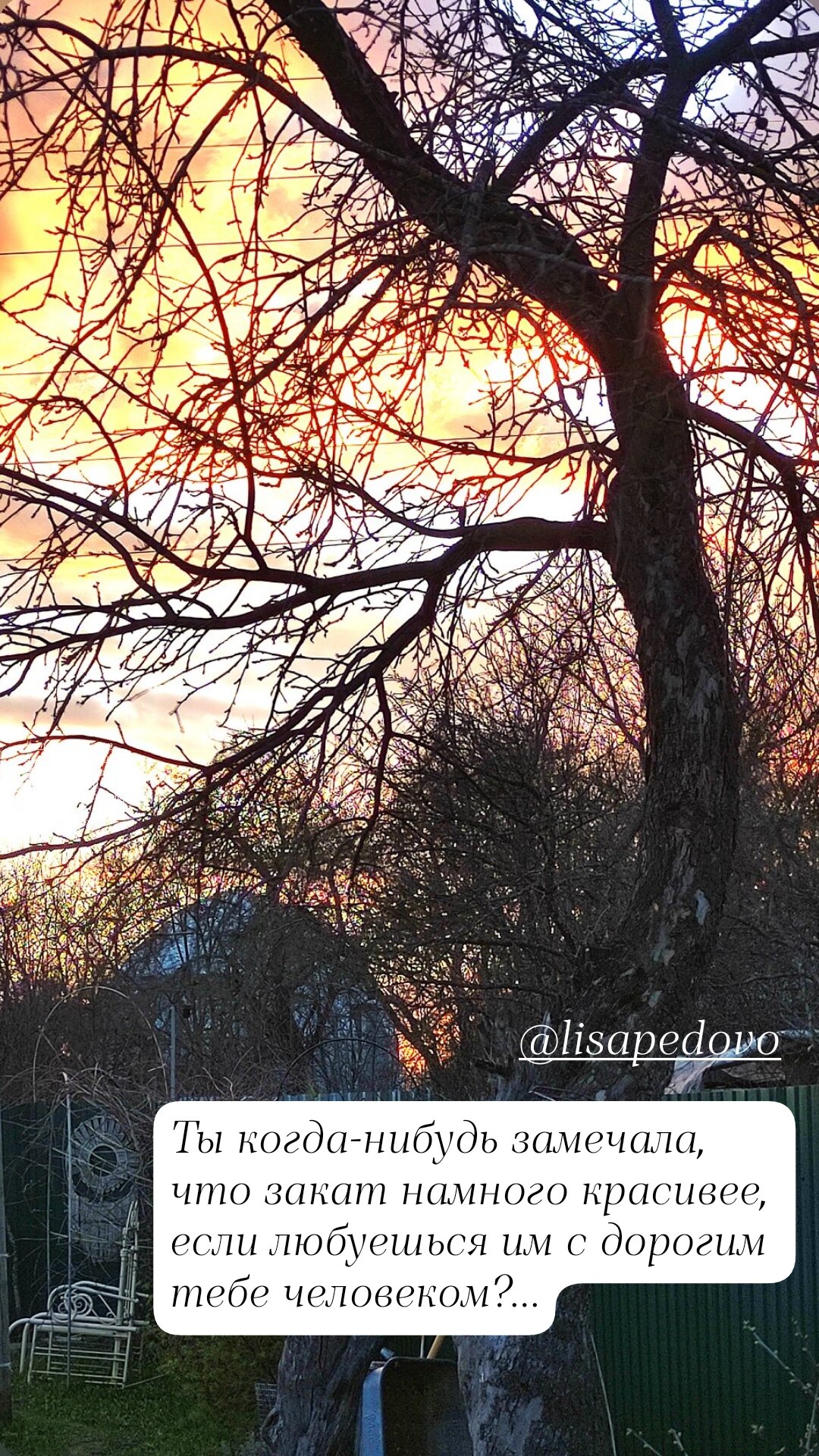 Фото Лисапедово