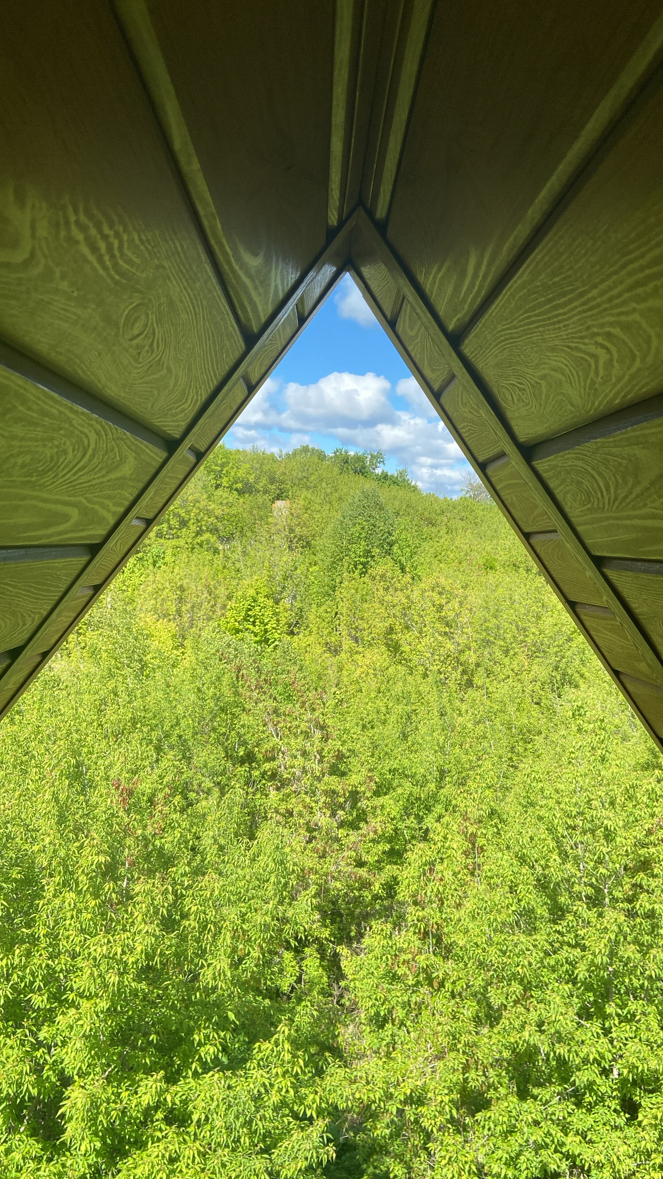 Фото Алексес