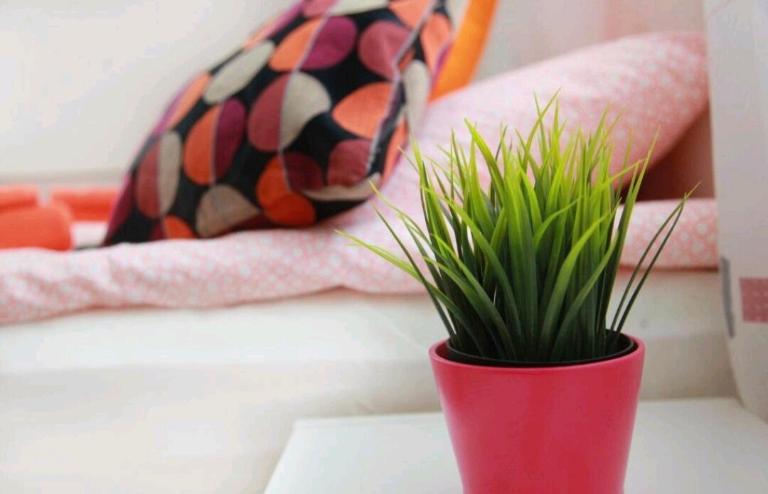 Фото Апартаменты Wow